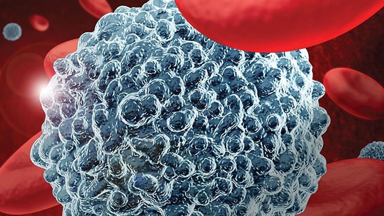 Lonza and AllCells Join Forces for Global Commercialization of Hematopoietic Primary Cells