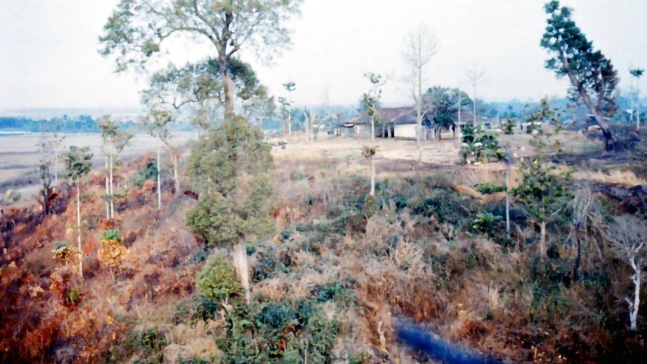 Vietnam Still Suffering With Pollutants From Agent Orange
