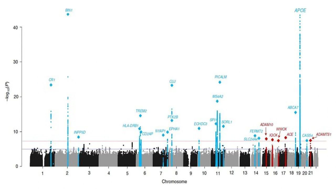 New Risk Genes for Alzheimer’s Disease