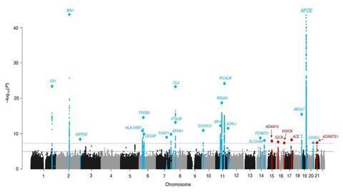 New Risk Genes for Alzheimer’s Disease