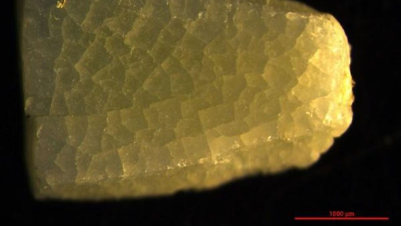 Revealing the Most Abundant Type of Microplastics in the Mediterranean Sea
