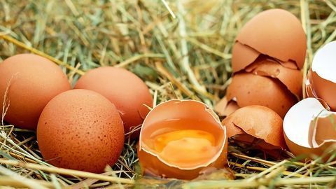Better Egg Allergy Desensitization With Oral Immunotherapy