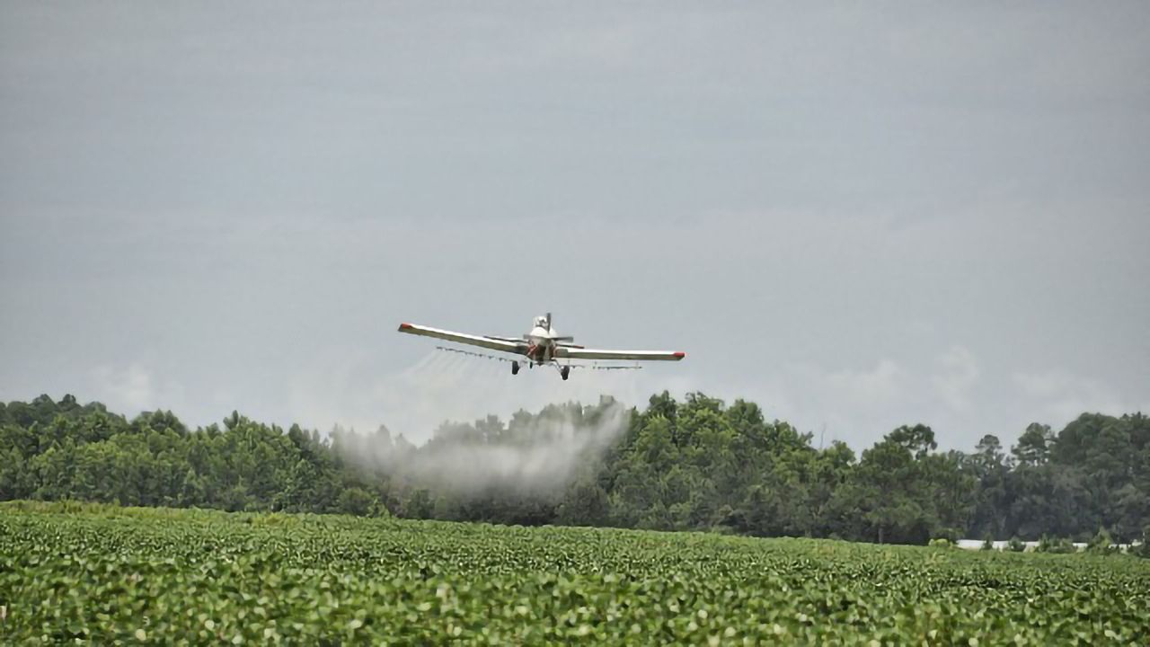 Pesticide Exposure Associates With Faster ALS Progression
