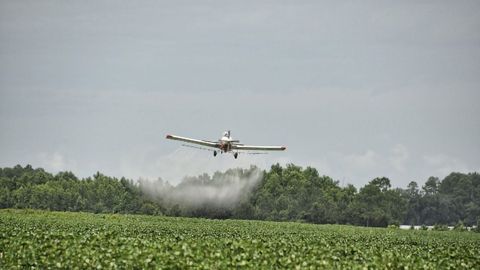 Pesticide Exposure Associates With Faster ALS Progression