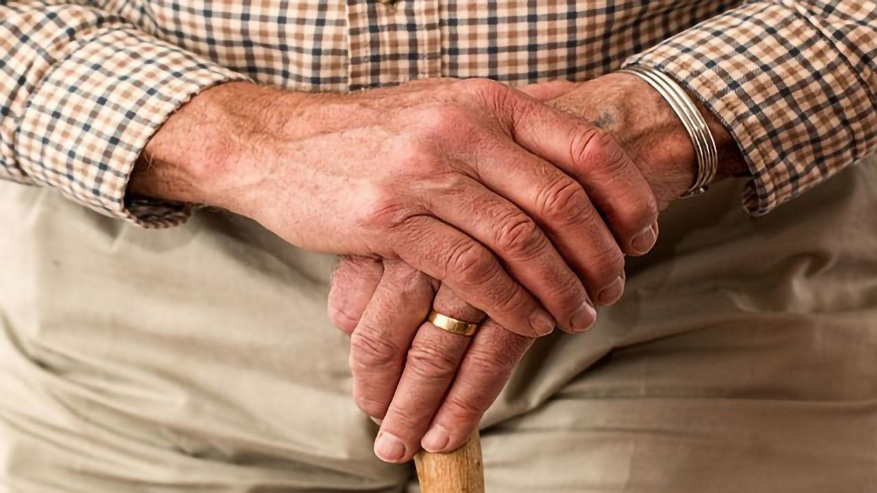 Longer Lifespan Without a Reproduction Cost