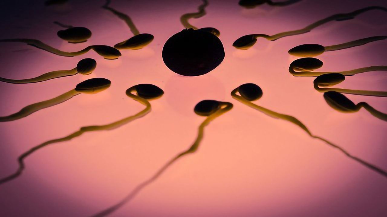 Chemical Pollutants in the Home and Infertility