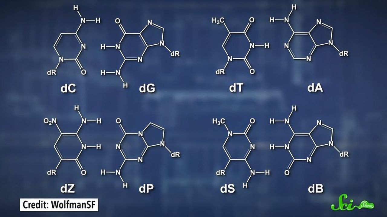 New 8-Letter DNA Rewrites the Genetic Code