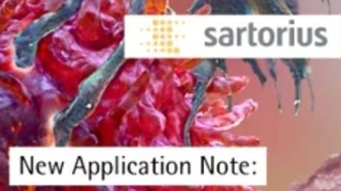 Get More Insights From Your T-Cell Activation Assays