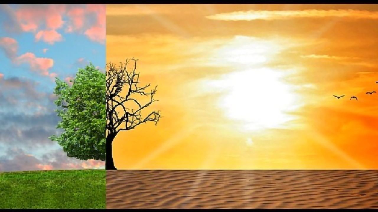 Scientists Join Forces for Climate Action