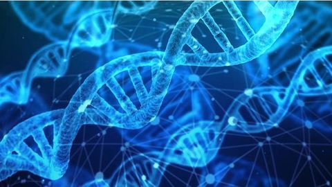 Genomic Testing Reveals Gene Commonly Mutated in Pediatric Melanoma