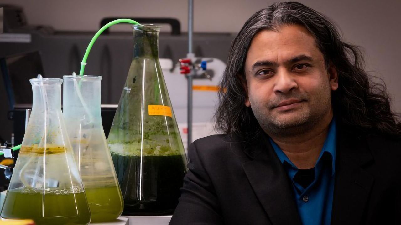 Making Fuel From Algae