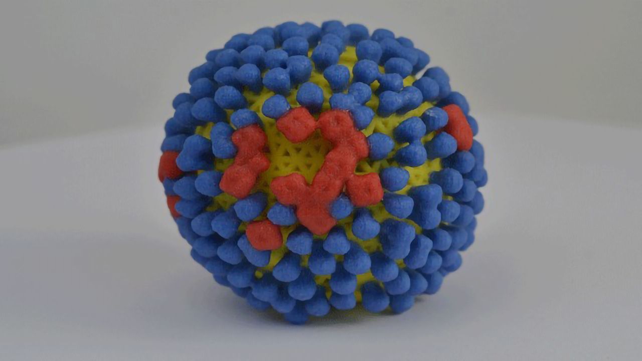 This Influenza-Lipid-Protein Relationship is Surprisingly Dynamic