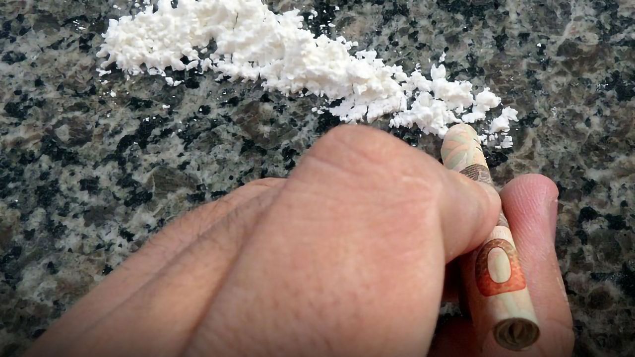 Estrous Cycle Phase Influences Cocaine Craving in Rats
