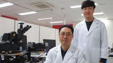 Techniques Enables Analysis of Colorless and Transparent Biomaterials