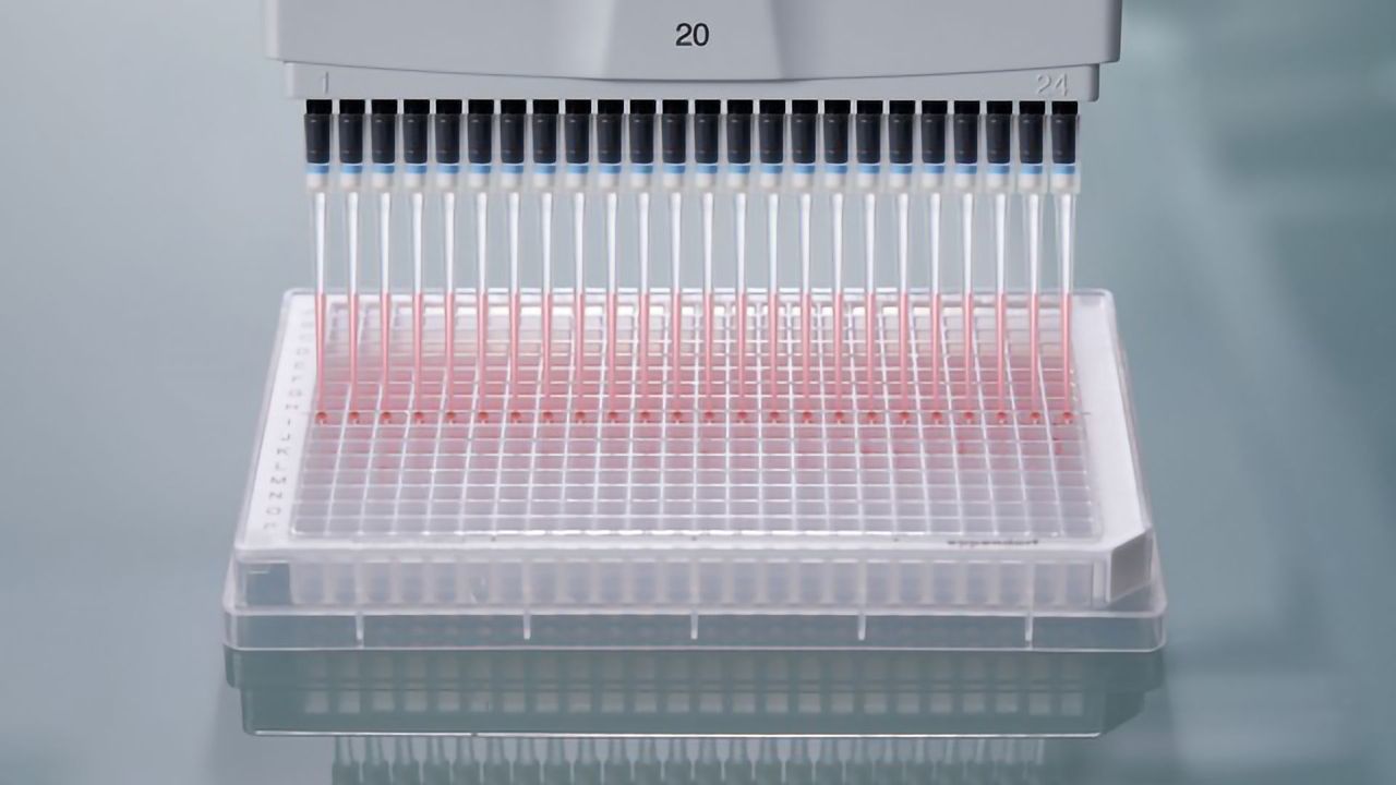 Manual Pipetting of 384-Well Plates Made Easy!