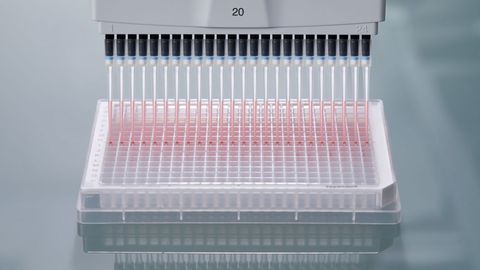 Manual Pipetting of 384-Well Plates Made Easy!