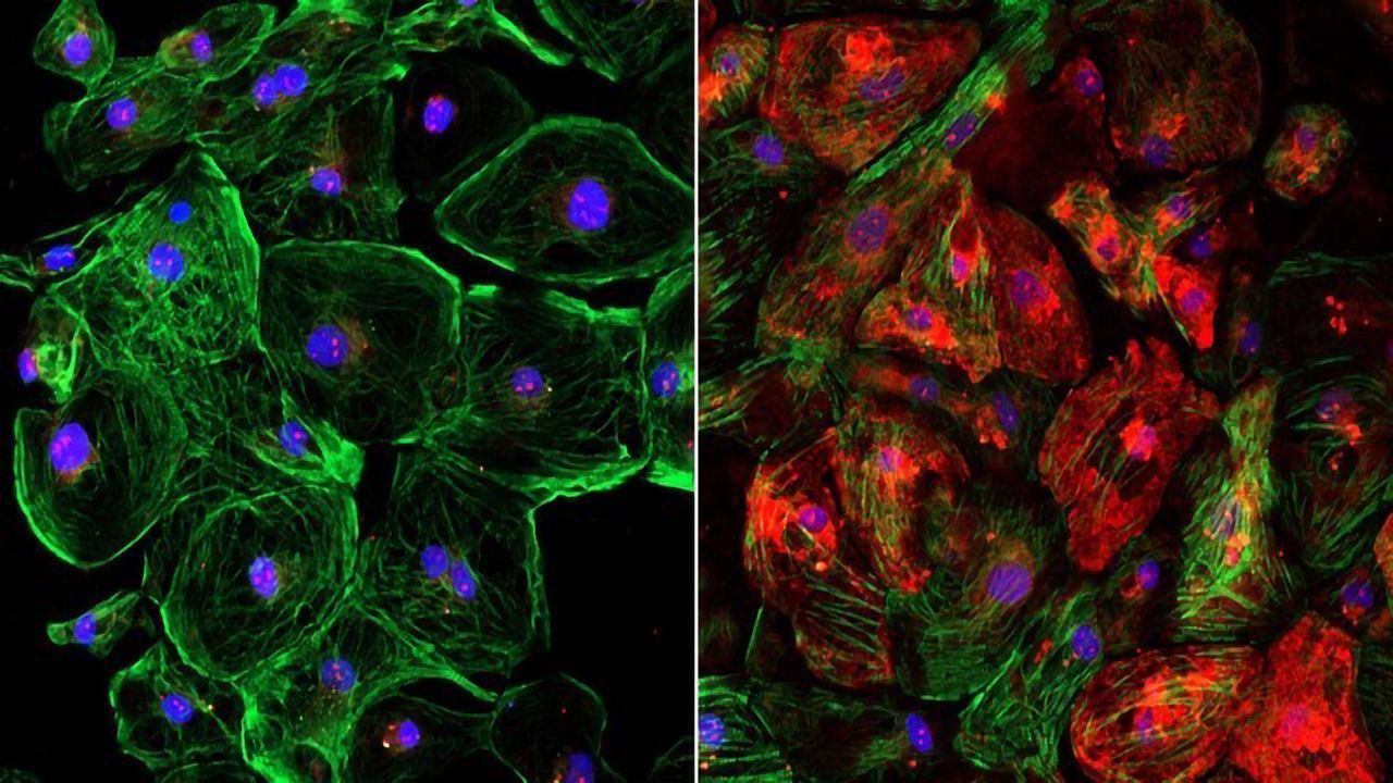 Boosting CRISPR Efficiency