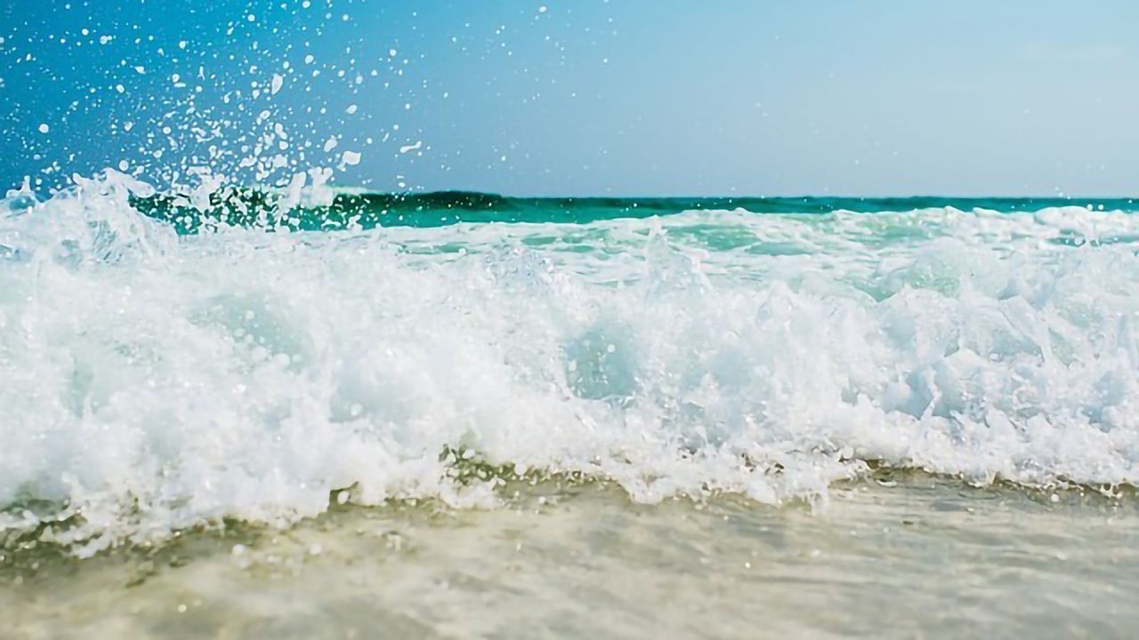 Rare Marine Bacteria Surprising Ally in Melanoma Battle