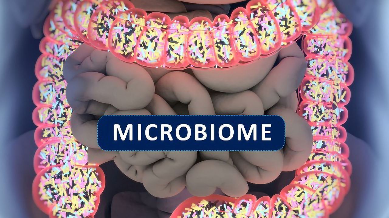 Like Genes, Our Microbes Pass from Parent to Child