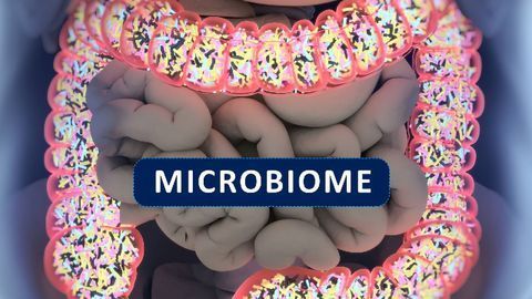 Like Genes, Our Microbes Pass from Parent to Child