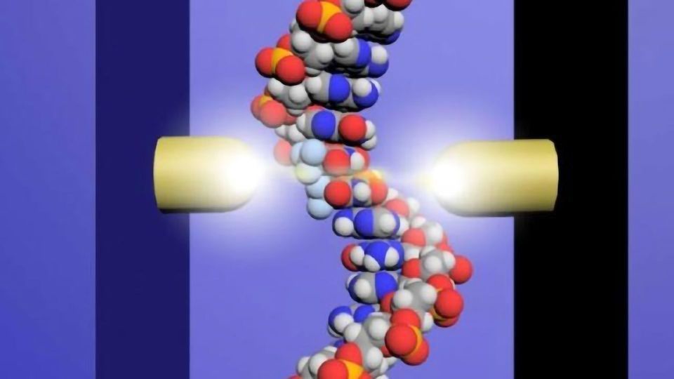 Tiny DNA Reader Advances Anti-cancer Drug Development content piece image