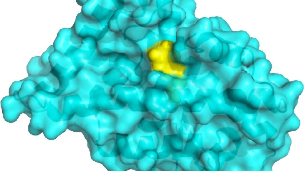 The Secrets of an "Undruggable" Parkinson's Molecule