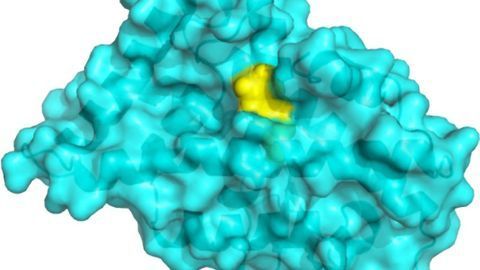 The Secrets of an "Undruggable" Parkinson's Molecule