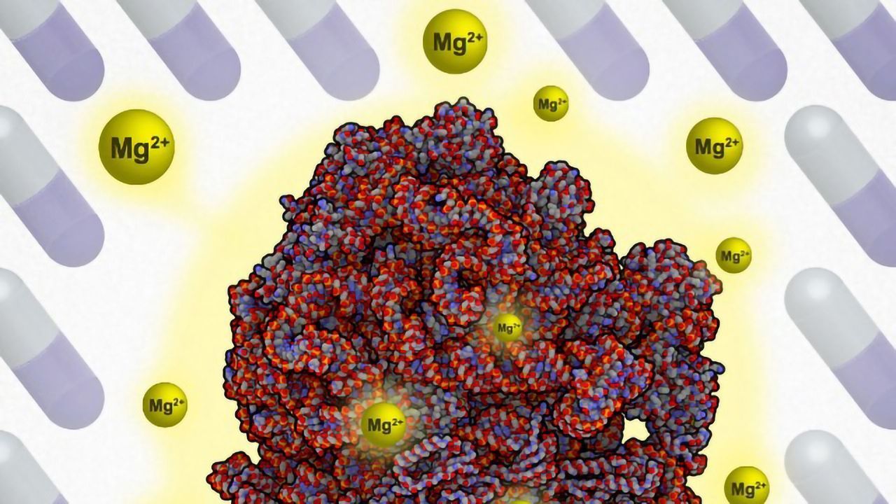 Surprise Survival Mechanism That Allows Bacteria to Evade Antibiotics