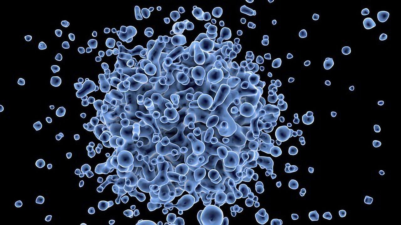 50 Years of Research Yields Viral Answers