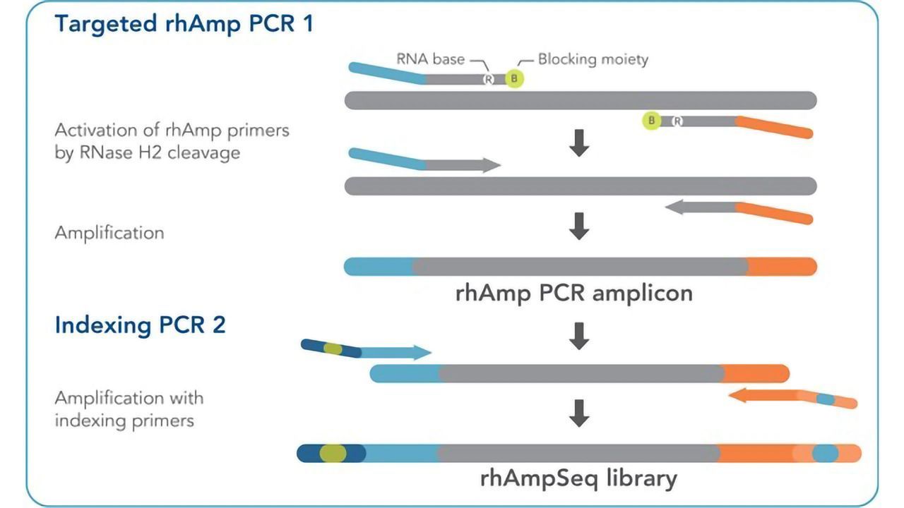 IDT Lowers Genomic Barriers with Powerful rhAmpSeq™ Targeted Sequencing System