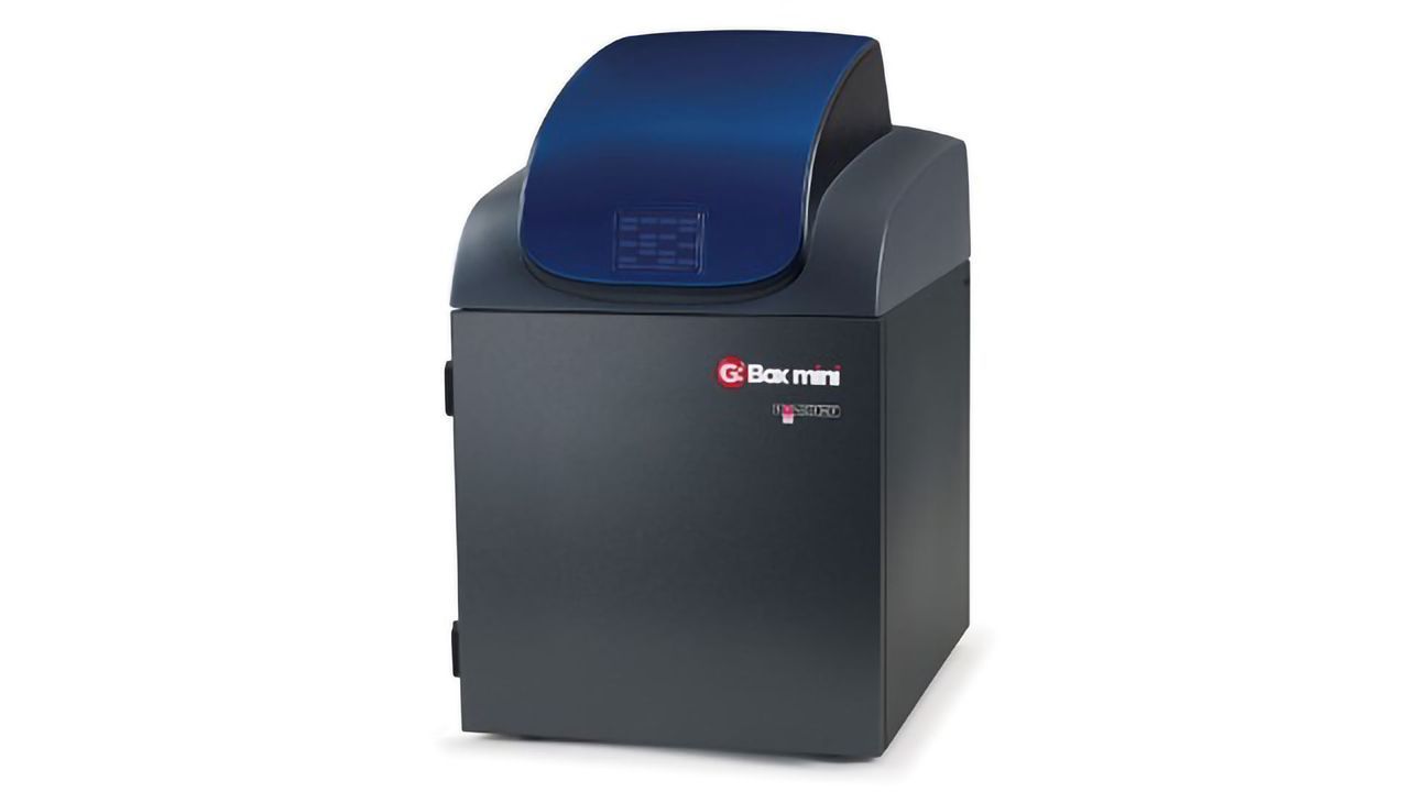 New Eco-friendly, EPI UV HI-LED Lights for Syngene G:BOX Imagers Enable Fast, Sensitive Protein Detection and Quantification