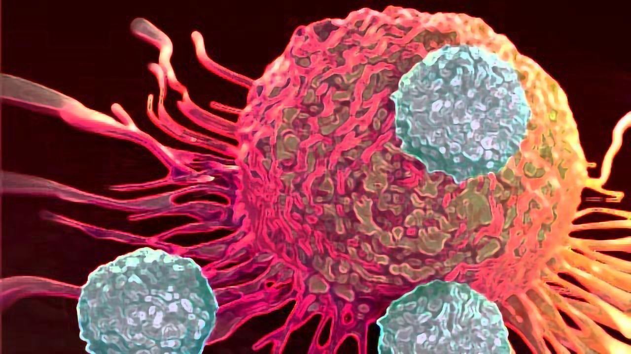 Precision Drugs Could Unmask Cancers to the Immune System