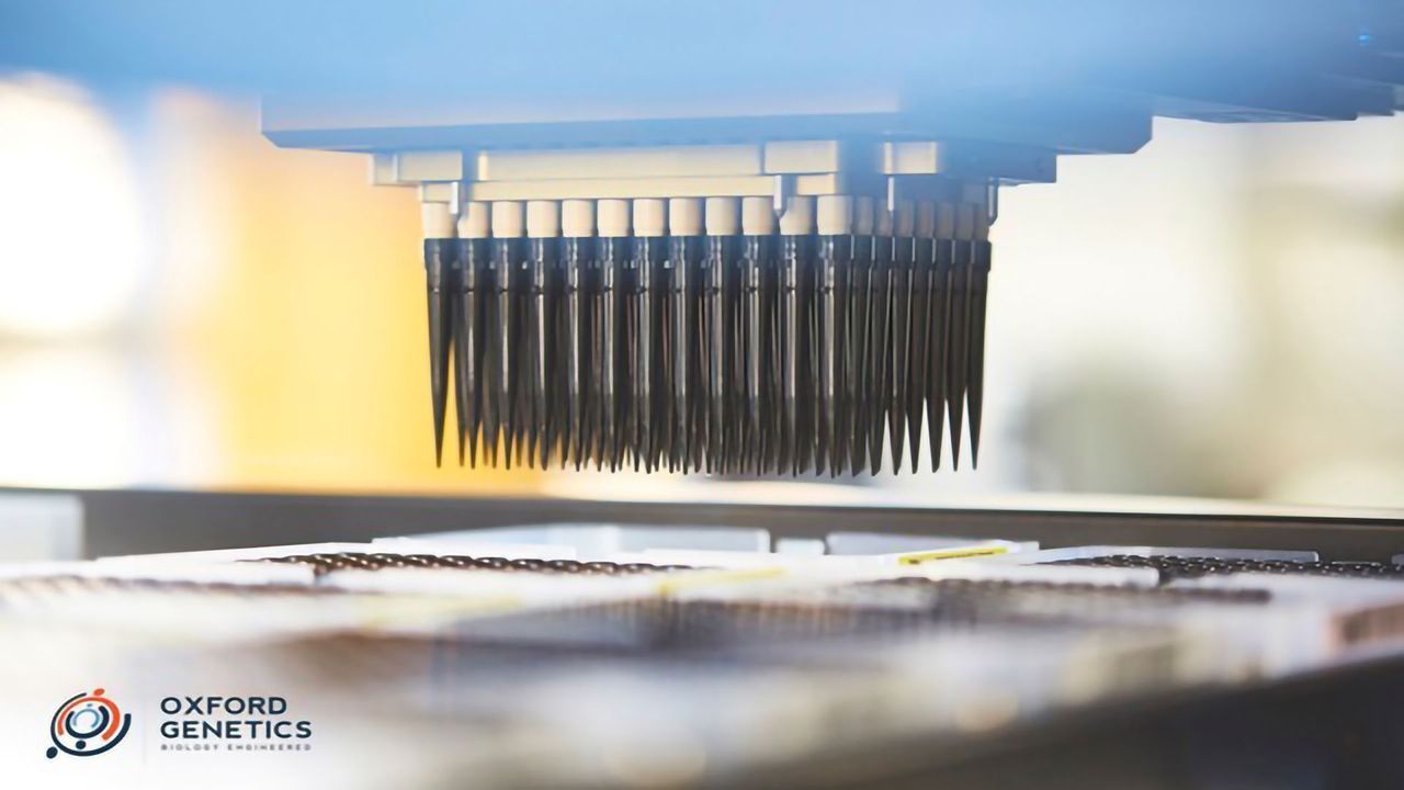 Automated Microfluidic Systems for Gene Editing