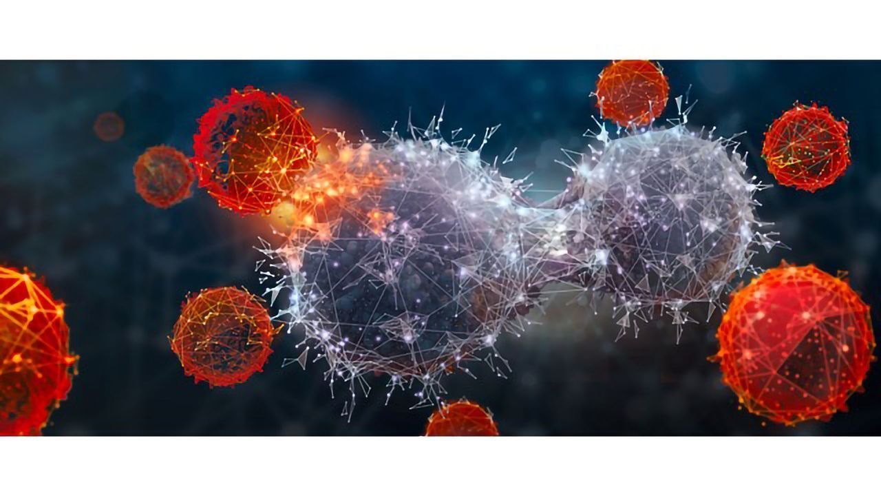 Third Sartorius Research Xchange Forum 2019 Focuses on CAR-T Cell Therapy