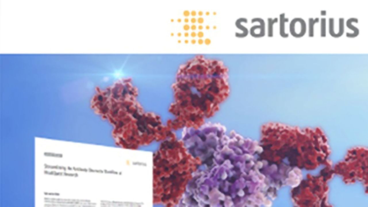 Streamline Your Antibody Discovery Workflow