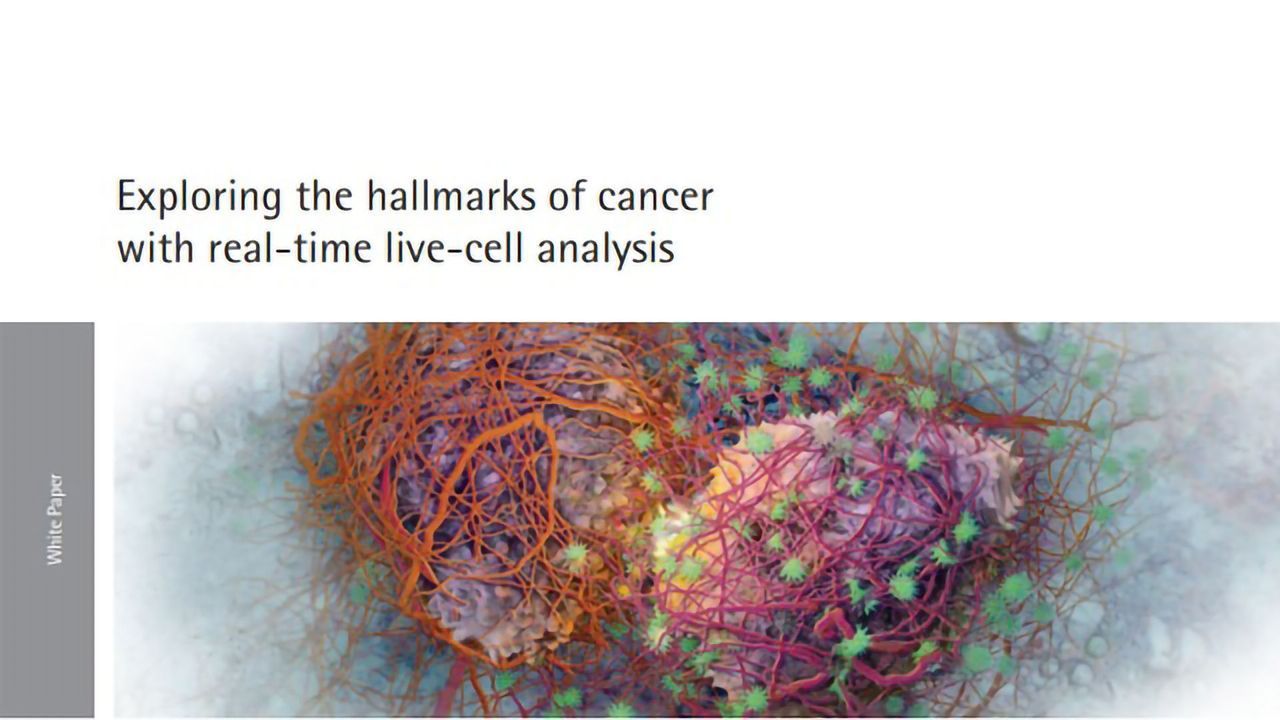 Exploring the Hallmarks of Cancer With Real-Time Live-Cell Analysis