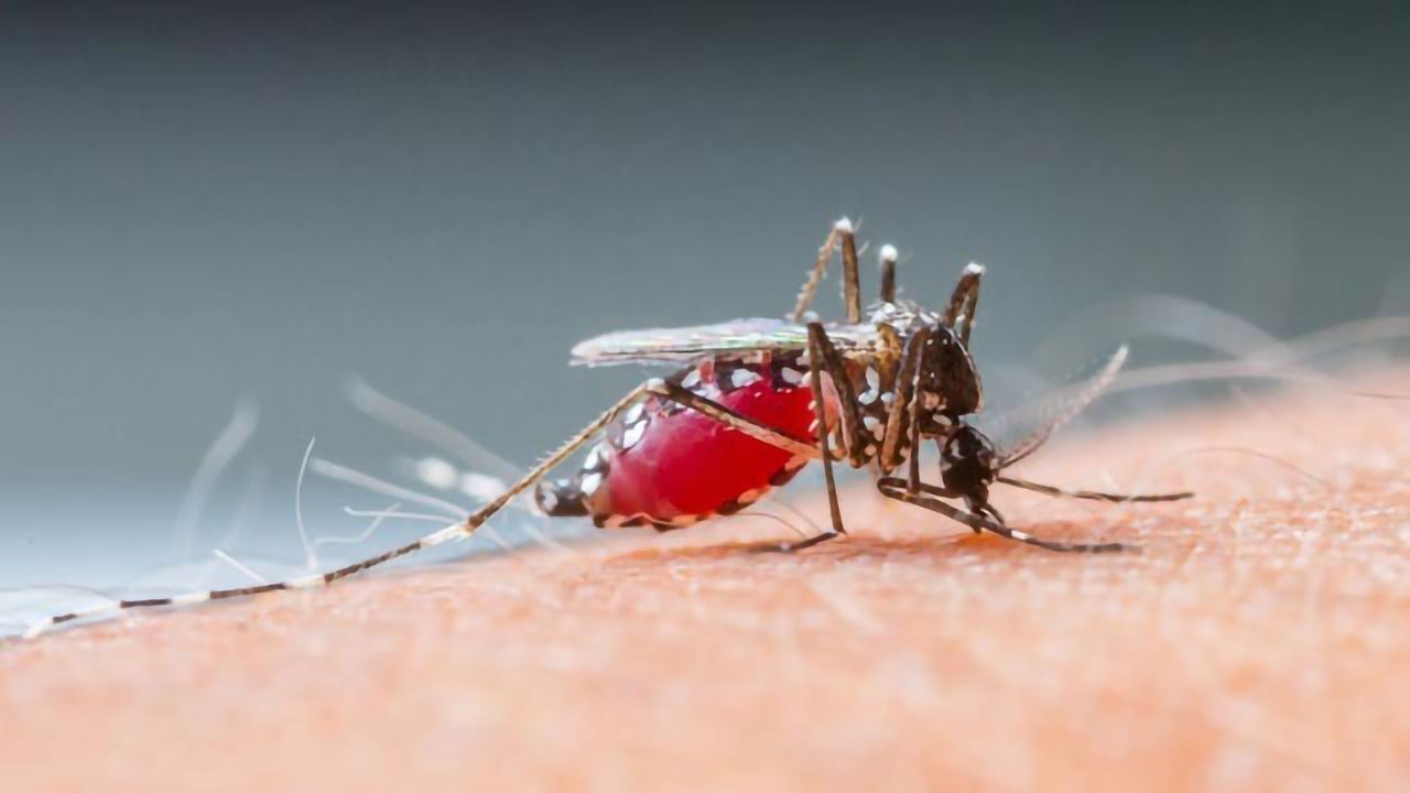 Experimental Drug Cures Seven Volunteers Infected With Malaria Parasite