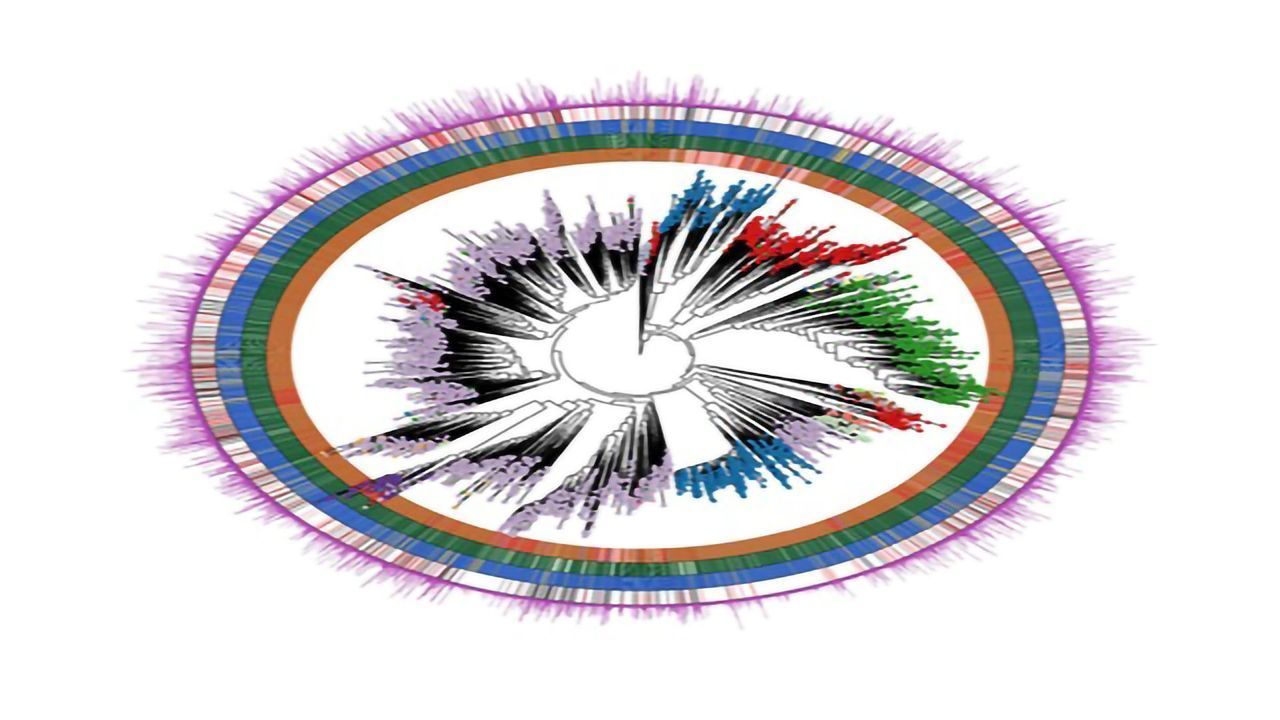 The Unexplored Human Microbiome