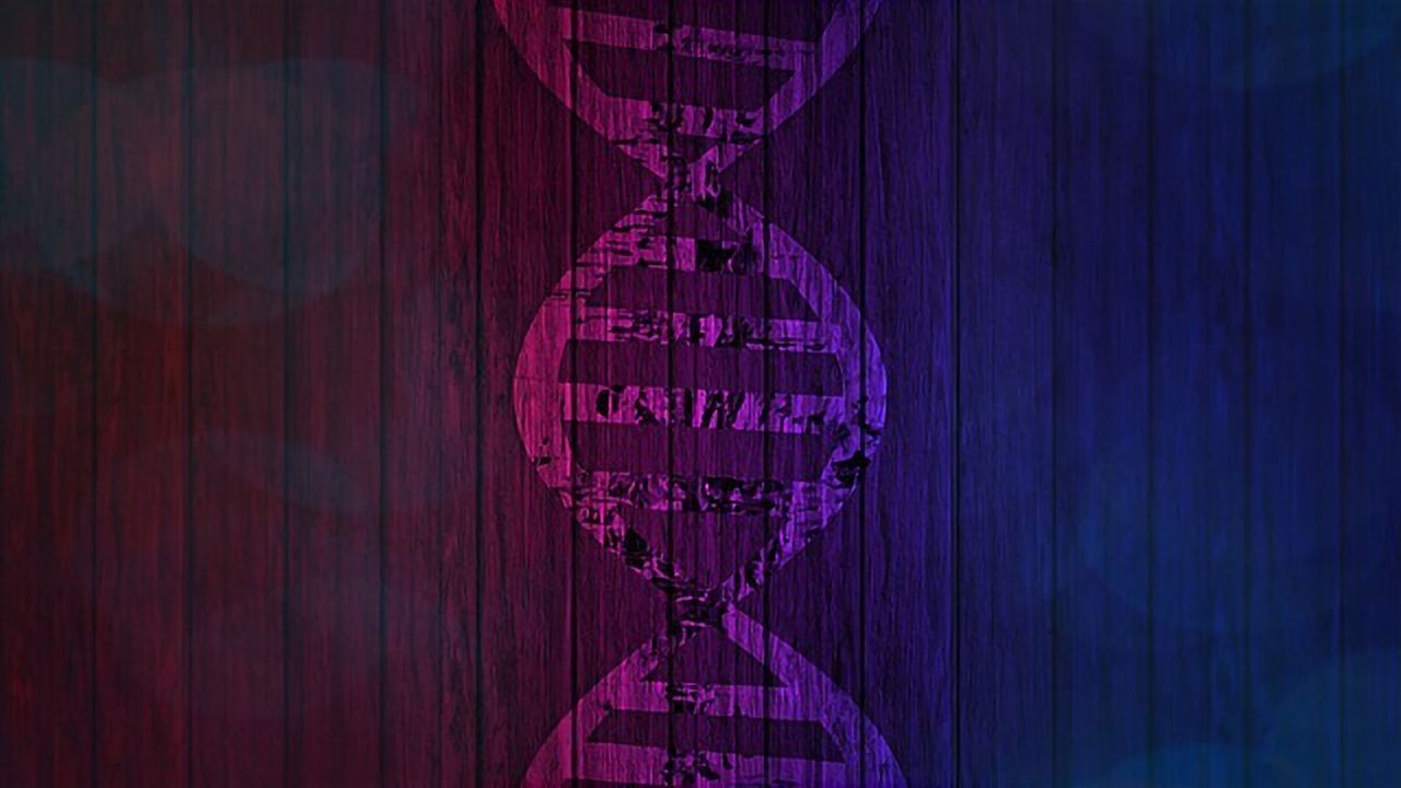 A Function for the "21st Amino Acid"?
