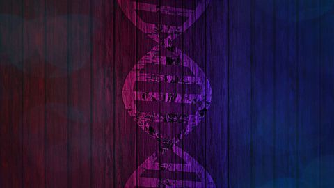 A Function for the "21st Amino Acid"?