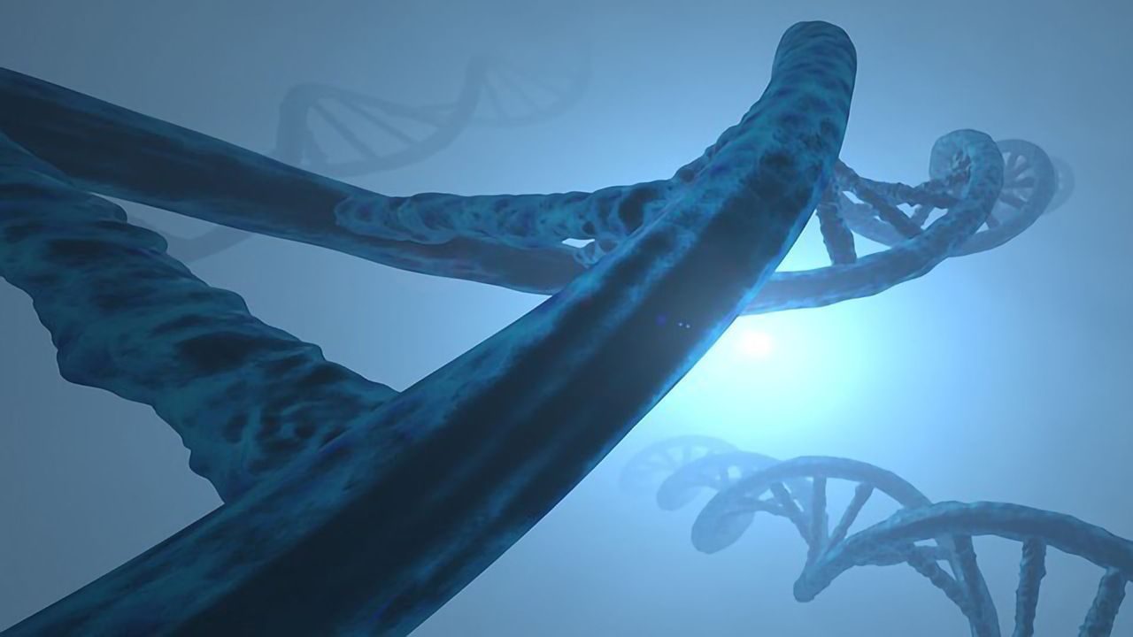 Proteins Made From Scratch