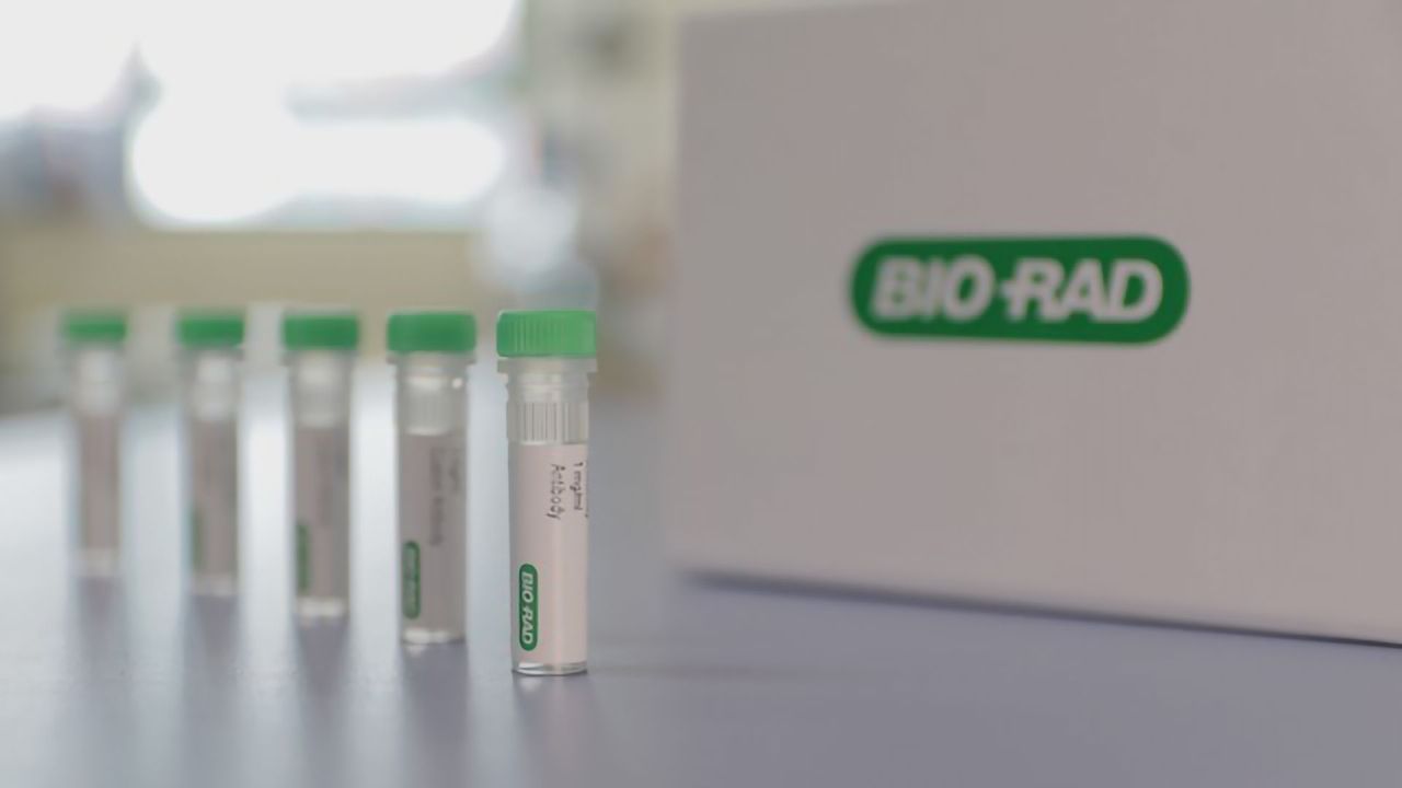 Bio-Rad Introduces Anti-Eculizumab Antibodies
