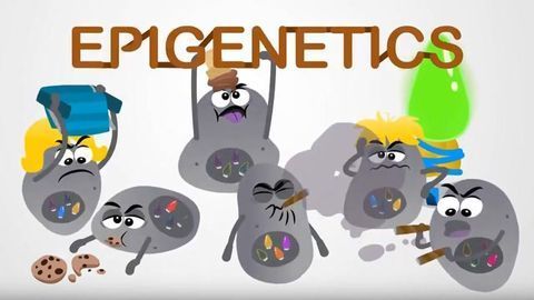 Cancer Treatment: Epigenetics