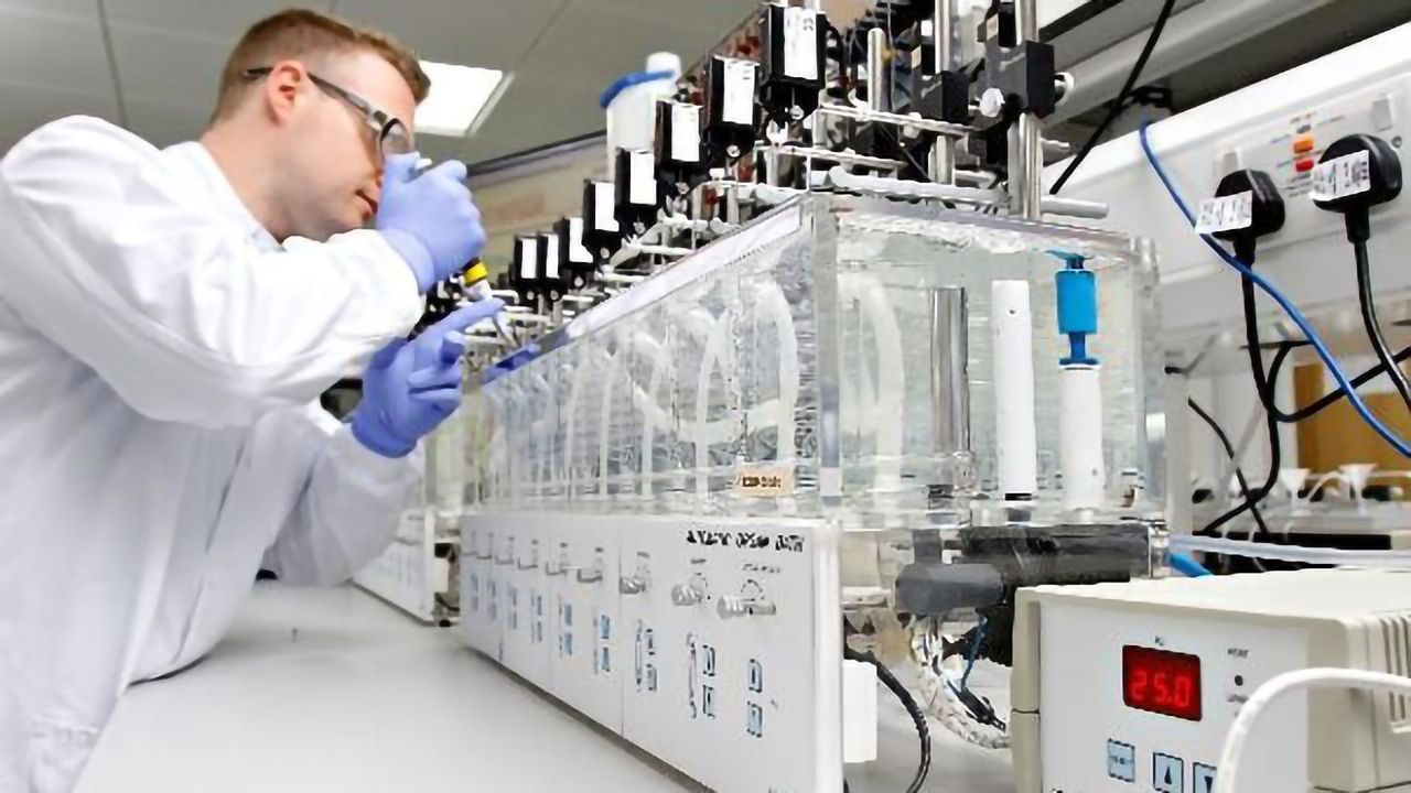 REPROCELL join Medicines Discovery Catapult’s Virtual R&D Network to Accelerate Drug Development
