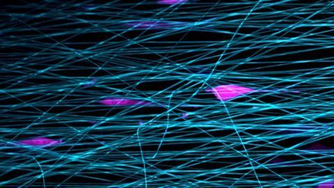 Cells Slingshot Themselves Forward