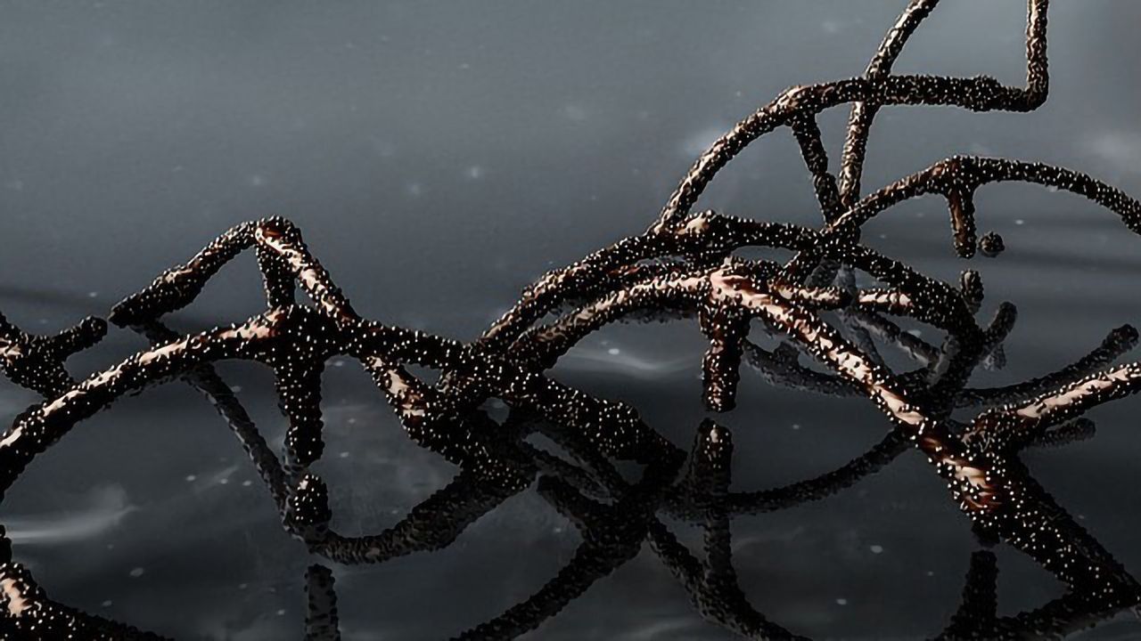 Cas9 Is the New Kid on the Block in DNA Amplification