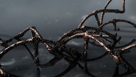 Cas9 Is the New Kid on the Block in DNA Amplification
