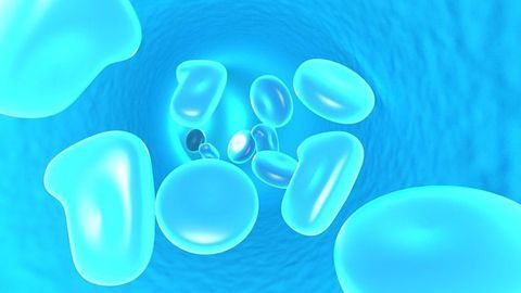 Genetic Sensor Isolates Hidden Leukemic Cells