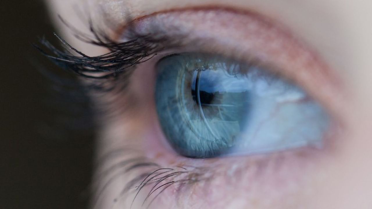 Are Eyes the Window to Our Mistakes?