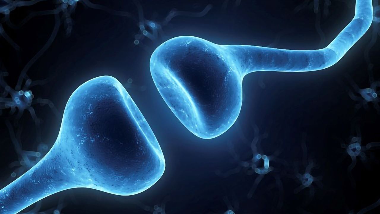 Real-time Biochemistry of Living Cells and Whole Organisms
